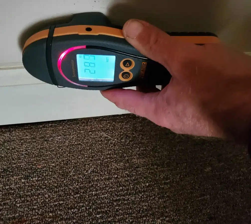 Moisture detection at baseboard during Mold Inspection & Testing in Mountain Home